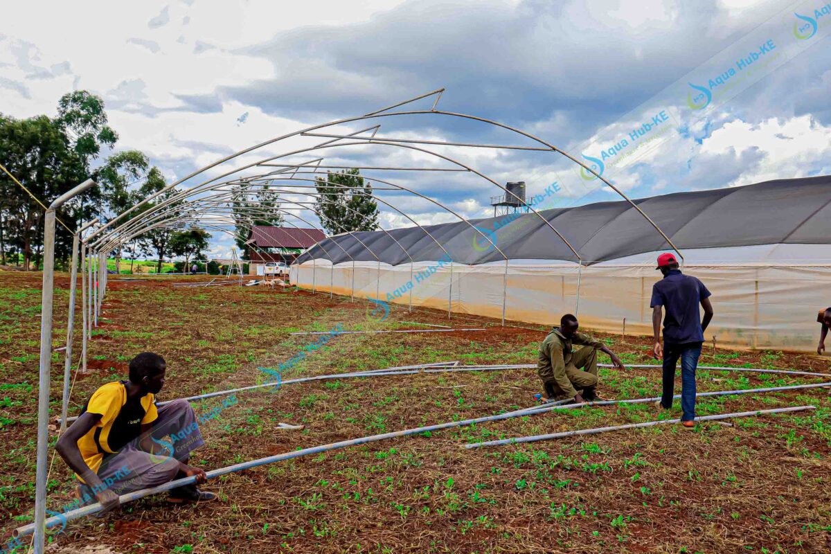 adopt Greenhouse Farming