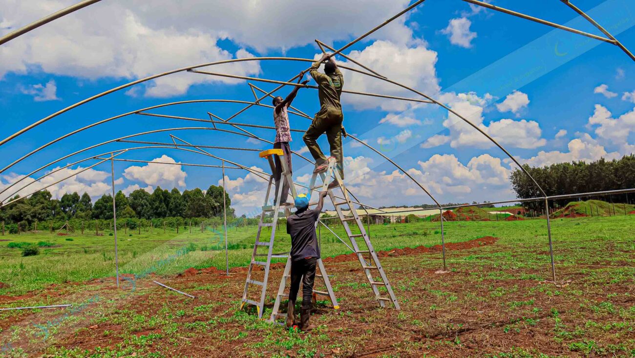 Greenhouse Selling Company