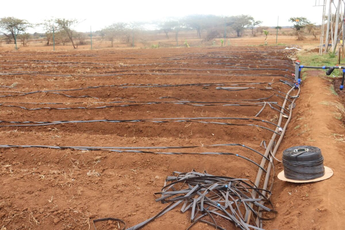 Effective Irrigation Systems