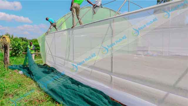 Agricultural Insect Nets
