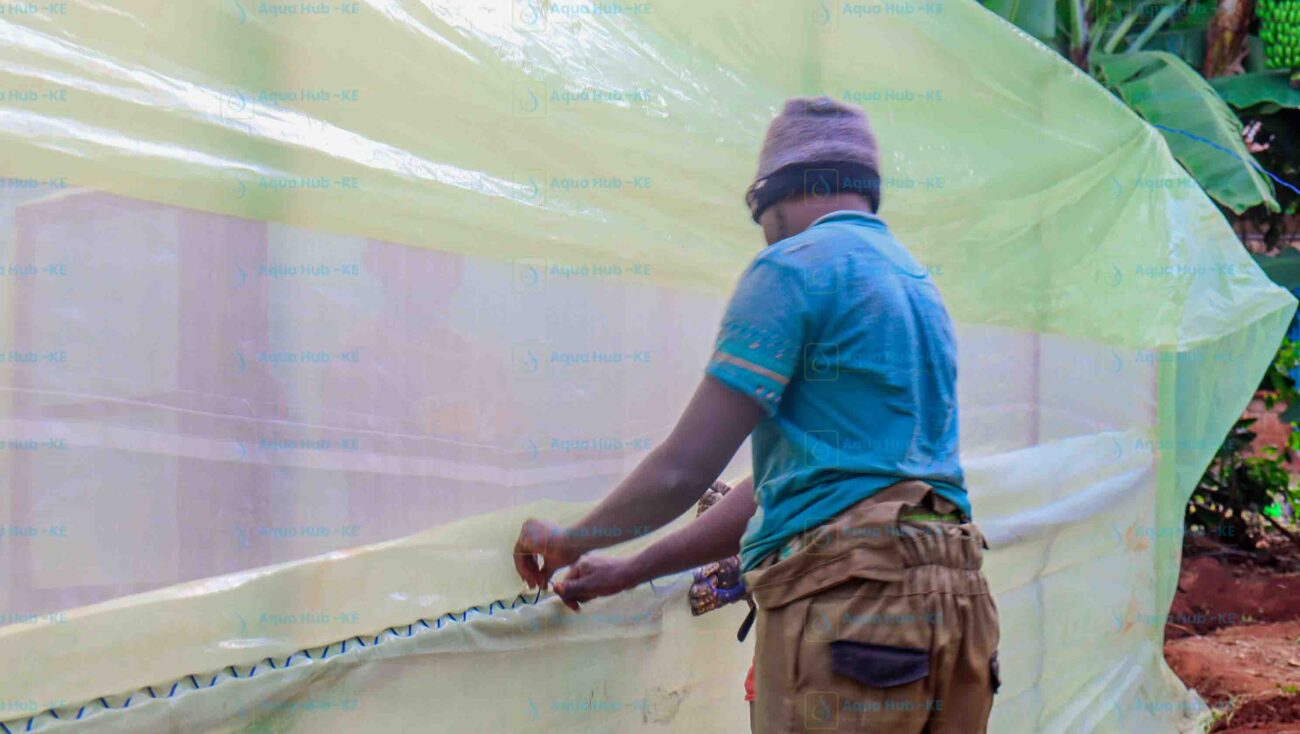 Insect Netting in Kenya