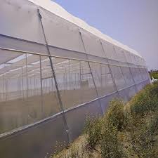 Insect Netting in Kenya