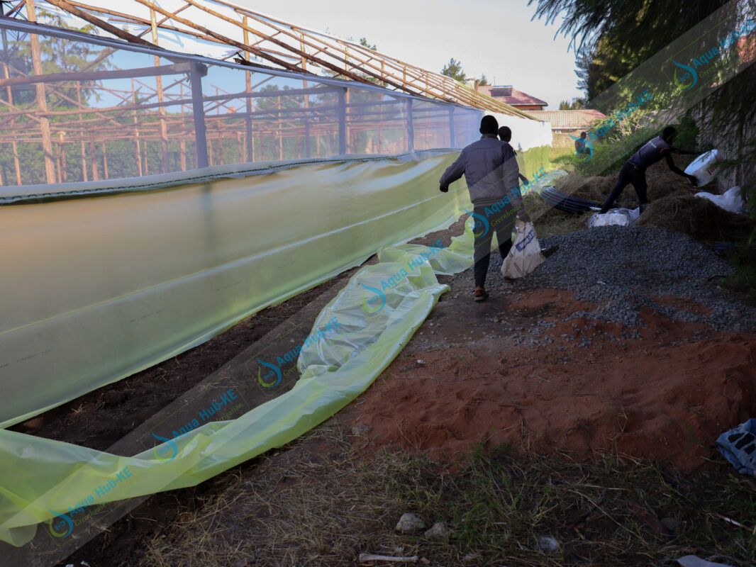 Greenhouse Insect Nets