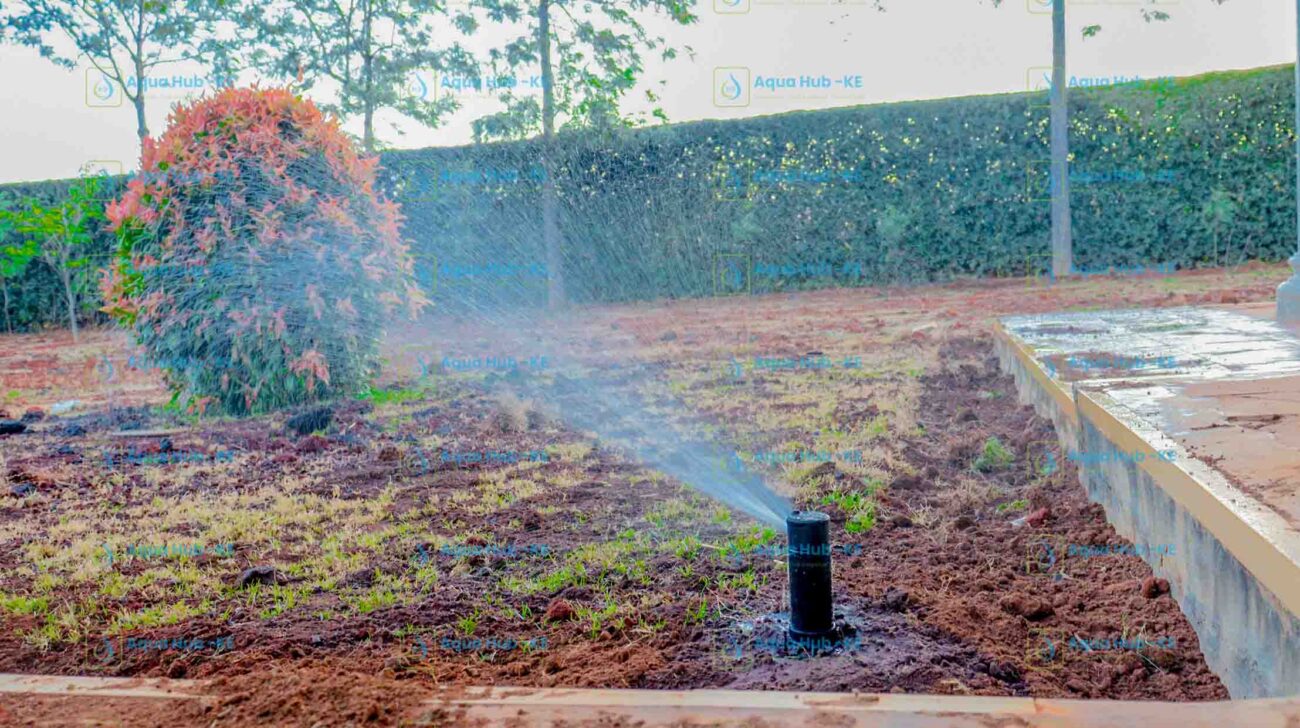 Pop-up sprinkler system design and installation
