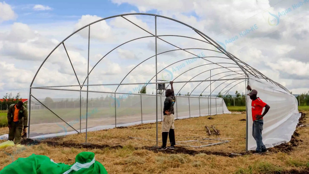 cost of insect nets in Kenya