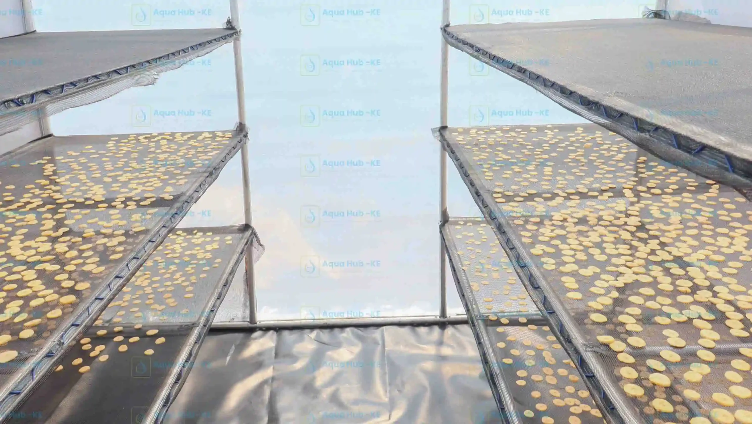 Solar Dryer prices in Kenya