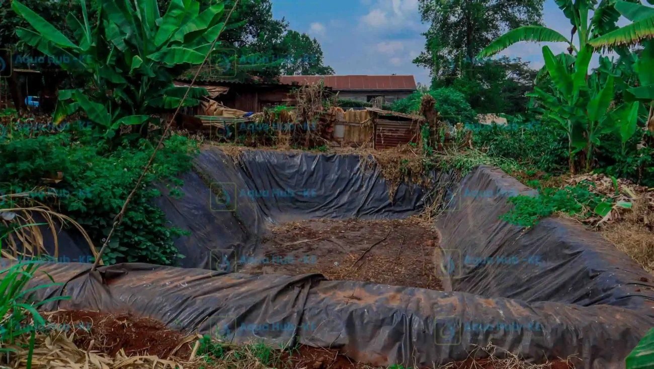 Pond Liners for Sale in Kenya