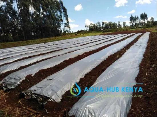 Plastic Mulch for agriculture in Kenya