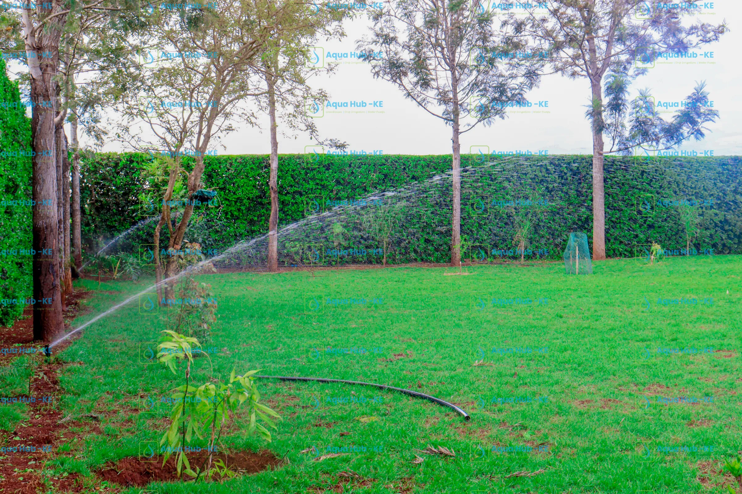 Sprinkler System for lawn