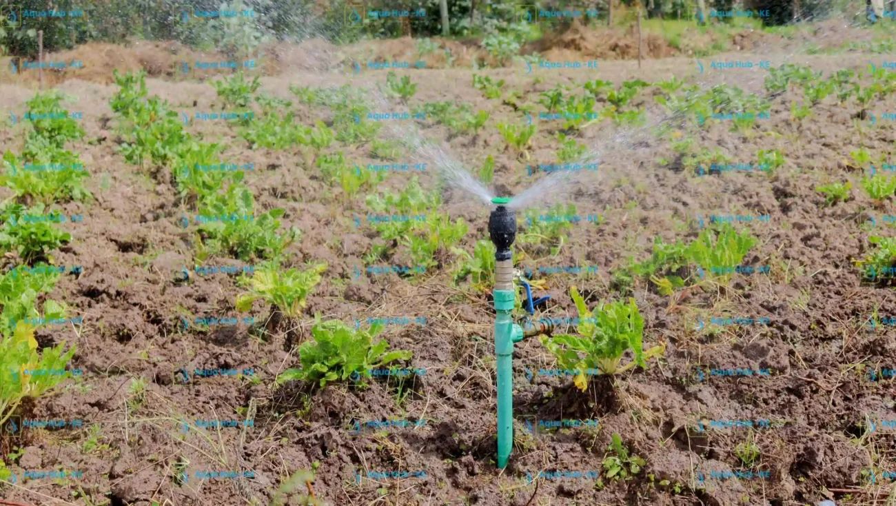 Irrigation Systems in Kenya